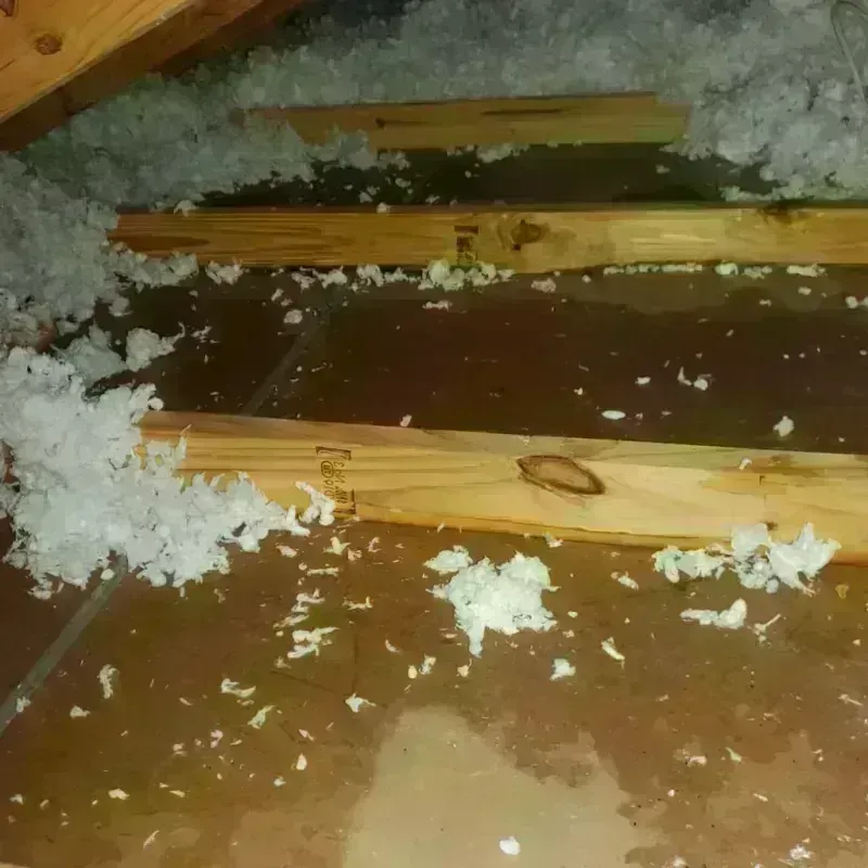 Attic Water Damage in Lawrence County, MO