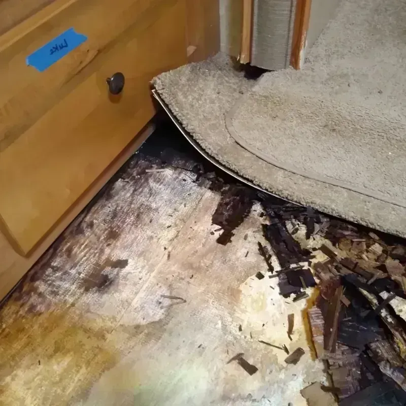 Best Wood Floor Water Damage Service in Lawrence County, MO